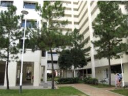 Blk 56 Strathmore Avenue (Queenstown), HDB 4 Rooms #368007831